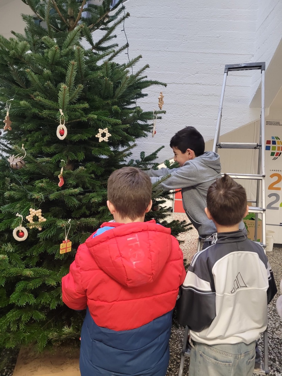 25.12. Schultannenbaum3